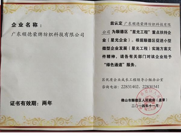 pokerking官网荣获政府重点扶持企业